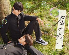 辽宁seo推广哪个便宜